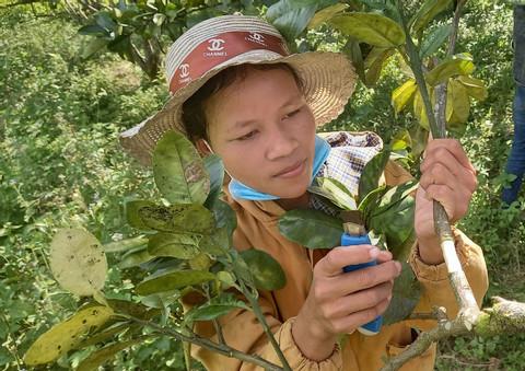 Đá ốp lát